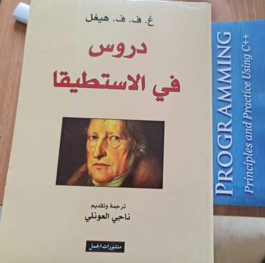 كذلك كتاب هيغل هذا غير مرفوع على الشبكة، وهو عندي ورقيا منذ مدة